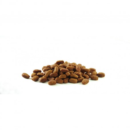 Croqueta pienso Purina One Gatos Esterilizados rico en Buey y Trigo