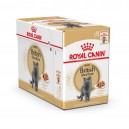 Caja comida húmeda para gatos Royal Canin British Shorthair