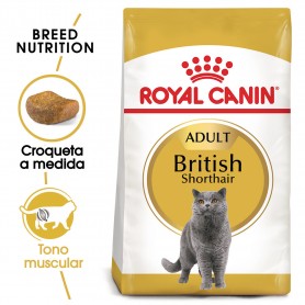 Pienso Royal Canin Razas British Shorthair 34