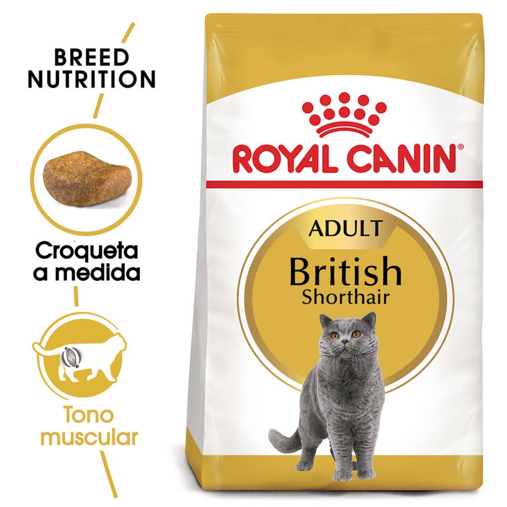 Pienso Royal Canin Razas British Shorthair 34