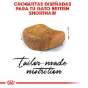 Croqueta Pienso Royal Canin Razas British Shorthair 34