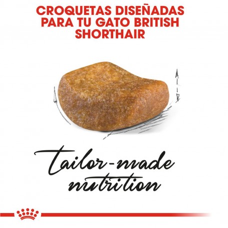 Croqueta Pienso Royal Canin Razas British Shorthair 34