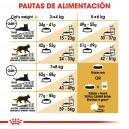 Pienso Royal Canin Razas British Shorthair 34, la mejor nutrición