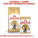 Pienso para gatos Royal Canin Razas British Shorthair 34