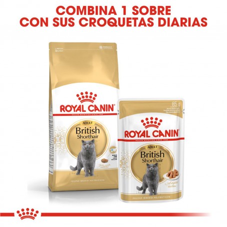 Pienso para gatos Royal Canin Razas British Shorthair 34