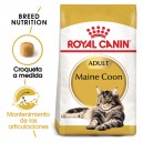 Pienso para gatos Royal Canin Maine Coon