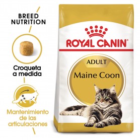 Pienso para gatos Royal Canin Maine Coon