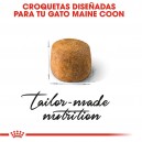 croqueta Pienso Royal Canin Maine Coon