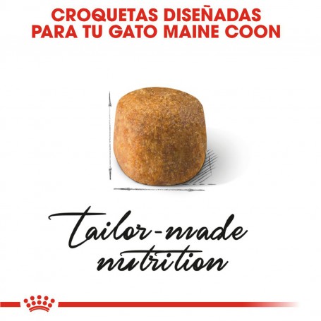 croqueta Pienso Royal Canin Maine Coon