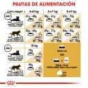 Pienso para gatos Royal Canin Maine Coon