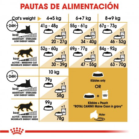 Pienso para gatos Royal Canin Maine Coon