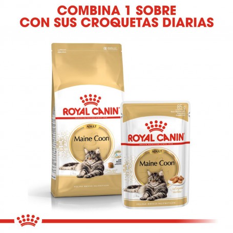 Pienso para gatos Royal Canin Maine Coon