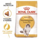 Pienso para gatos Royal Canin Norwegian Forest Cat