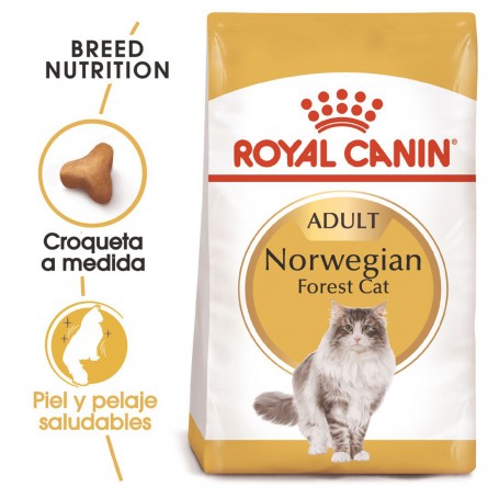 Pienso para gatos Royal Canin Norwegian Forest Cat