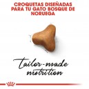 Croqueta Pienso Royal Canin Norwegian Forest Cat