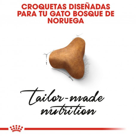 Croqueta Pienso Royal Canin Norwegian Forest Cat