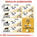 Pautas de alimentación Pienso Royal Canin Norwegian Forest Cat