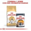Pienso Royal Canin Norwegian Forest para gatos