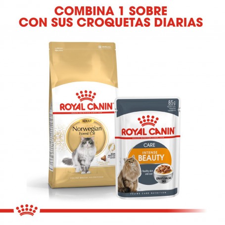 Pienso Royal Canin Norwegian Forest para gatos