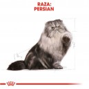 Pienso para gatos Royal Canin Persian