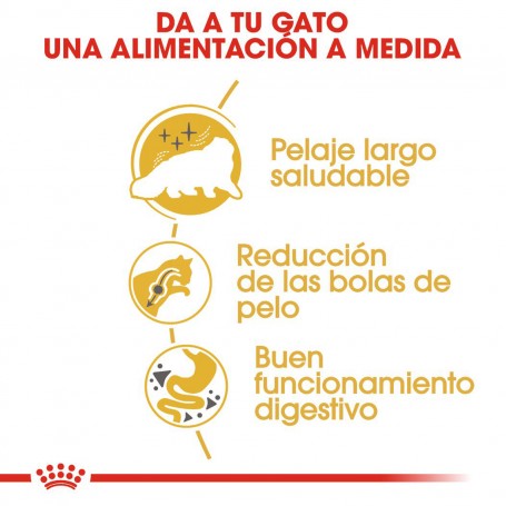 Pienso para gatos Royal Canin Persian