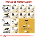 Pienso para gatos Royal Canin Persian