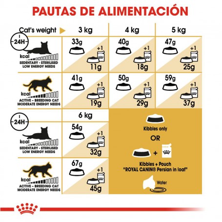 Pienso para gatos Royal Canin Persian