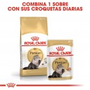 Pienso para gatos Royal Canin Persian