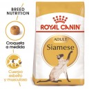 Royal Canin Razas Siamese 38 (Siamés) pienso para gatos