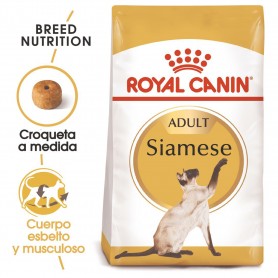 Royal Canin Razas Siamese 38 (Siamés) pienso para gatos
