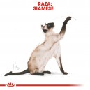 el mejor pienso Royal Canin Razas Siamese 38 (Siamés)