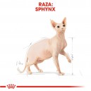 Pienso Royal Canin para gatos de Razas Sphynx