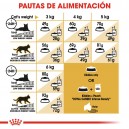 Pauta alimentación de pienso Royal Canin Razas Sphynx