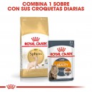 Pienso Royal Canin Razas Sphynx para gatos