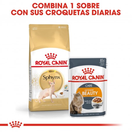 Pienso Royal Canin Razas Sphynx para gatos