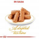 La mejor comida húmeda para gatos Royal Canin British Shorthair
