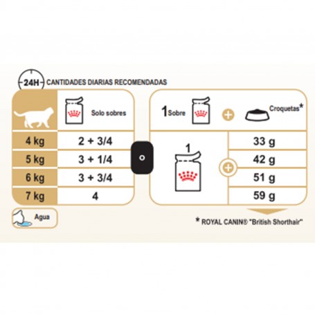 Royal Canin British Shorthair, comida húmeda en la proporción requerida