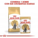 Royal Canin British Shorthair