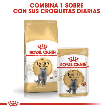 Royal Canin British Shorthair