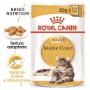 Comida húmeda para gatos Royal Canin Maine Coon