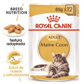 Royal Canin Húmedo Gato