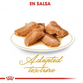 Royal Canin Maine Coon comida húmeda para gato adulto de raza