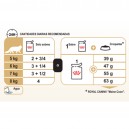 Cantidad diaria recomendada Royal Canin Maine Coon