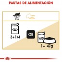 alimenta tu gato con comida húmeda Royal Canin Maine Coon