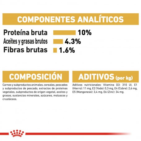 Componente de la comida húmeda Royal Canin Maine Coon