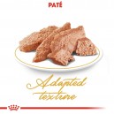 La mejor comida húmeda para gatos Royal Canin Persian