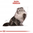 Lo que tu gato necesita, comida húmeda Royal Canin Persian