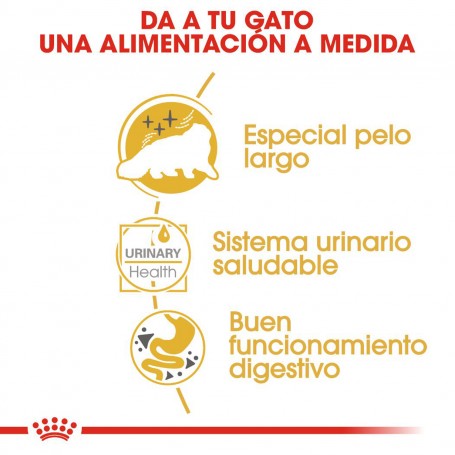 Alimentación para tu gato en comida húmeda Royal Canin Persian