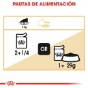 Alimenta a tu gato con comida húmeda Royal Canin Persian