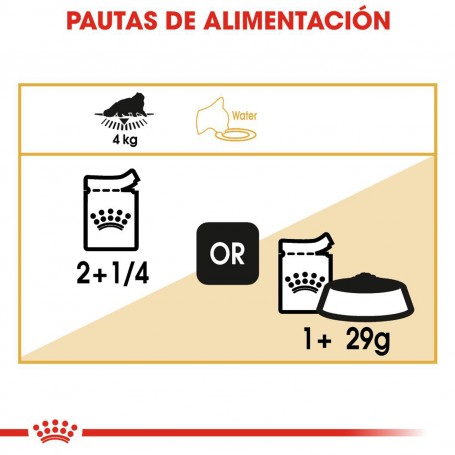 Alimenta a tu gato con comida húmeda Royal Canin Persian
